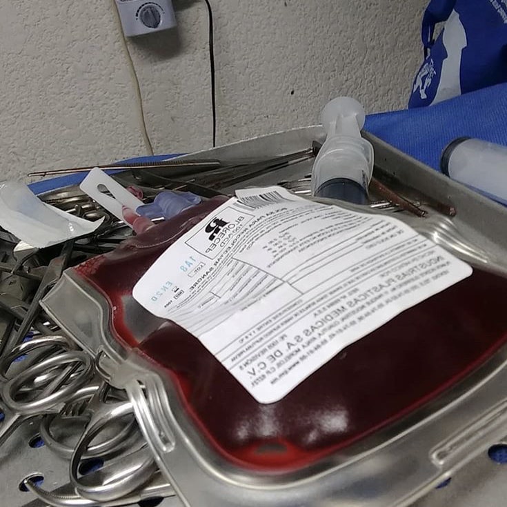 Transfusão-de-Sangue2-min